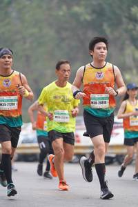 BIB: 20818, 21291, 2124
                            <button type="button" onclick="openModal(8299161)" class="btn btn-primary btn-sm float-right btn-popup" data-toggle="modal" data-target=".modal-high-quality">
                        <i class="fas fa-shopping-cart"></i> Add to Cart
                    </button>
                                            <button type="button" onclick="isThisMe(8299161, true)" class="btn btn-success btn-sm float-right btn-popup btn-isme hidden" data-toggle="tooltip" data-placement="bottom" title="นี่คือรูปของคุณใช่ไหม คลิกที่นี่เพื่อเอาเข้าอัลบั้ม">
                        <i class="fas fa-plus"></i> Add to album
                    </button>
                    <button type="button" onclick="isThisMe(8299161, false)" class="btn btn-warning btn-sm float-right btn-popup btn-isnotme hidden">
                        <i class="fas fa-ban"></i> Remove from album
                    </button>